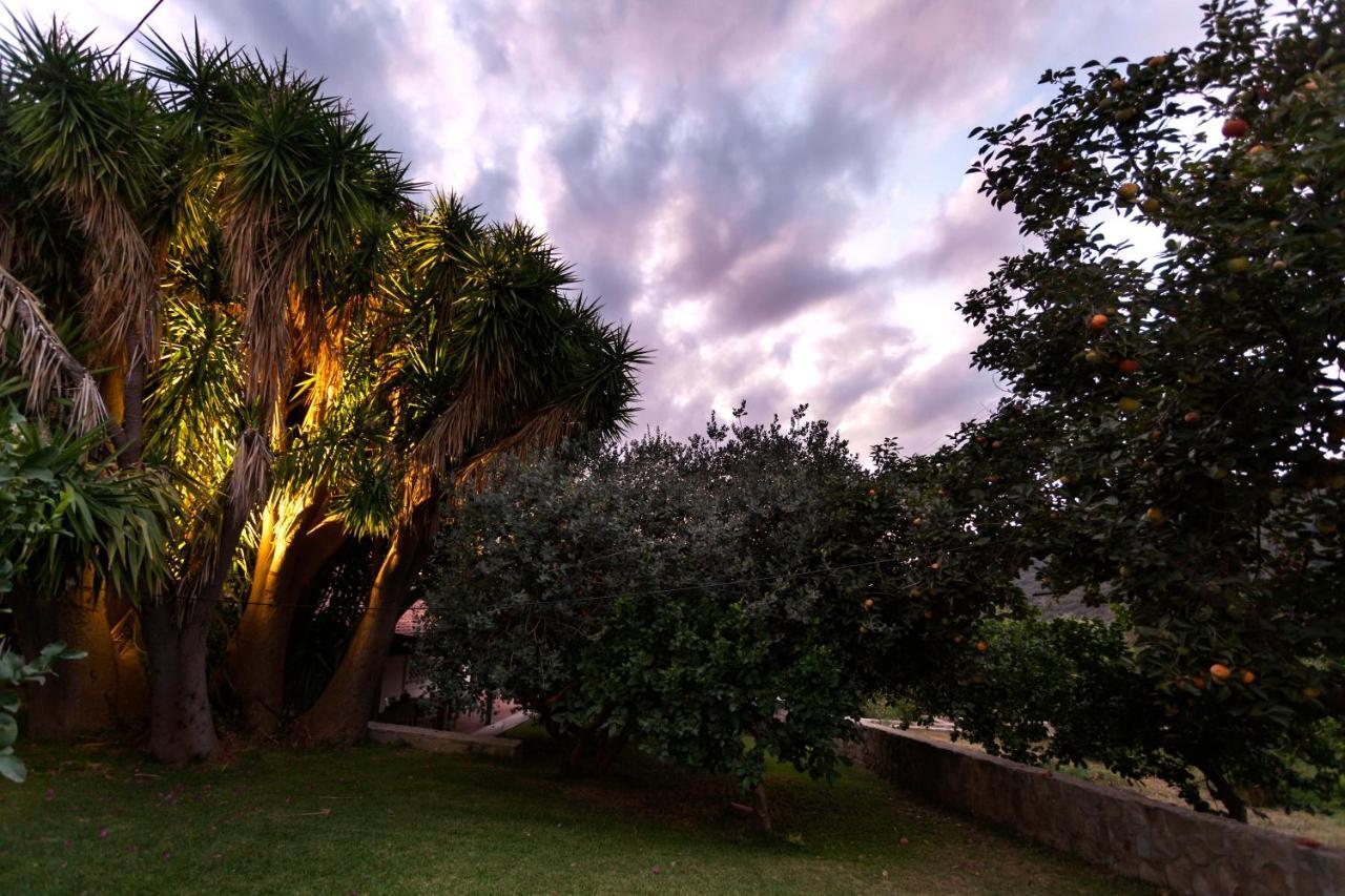 Agricontura Guest House Capri Leone Eksteriør bilde